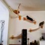 Rascadores-Caseros-Cuidados-Para_Mascotas-11