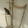 Rascadores-Caseros-Cuidados-Para_Mascotas-21