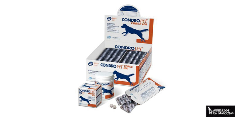 Condroprotector para perros grandes