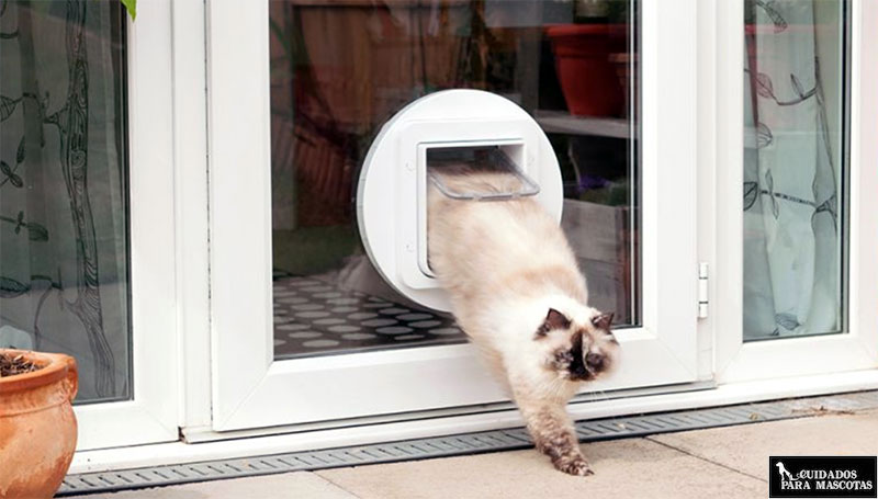 Gatera puerta basculante para gatos y perros puerta para animales domésticos puerta para gatos puerta para animales domésticos con parada automática para mosquitera marco para puerta