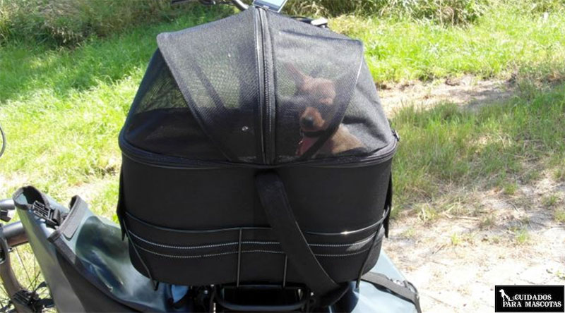 Cesta para perro con rejilla de seguridad