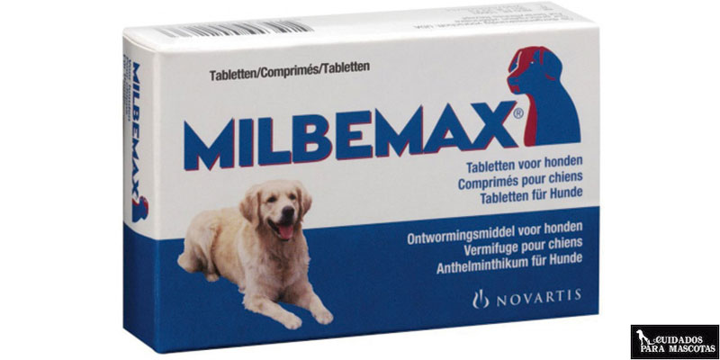 Antiparasitarios para perros en pastillas