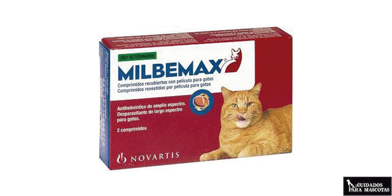 Antiparasitarios para gatos en forma de pastilla