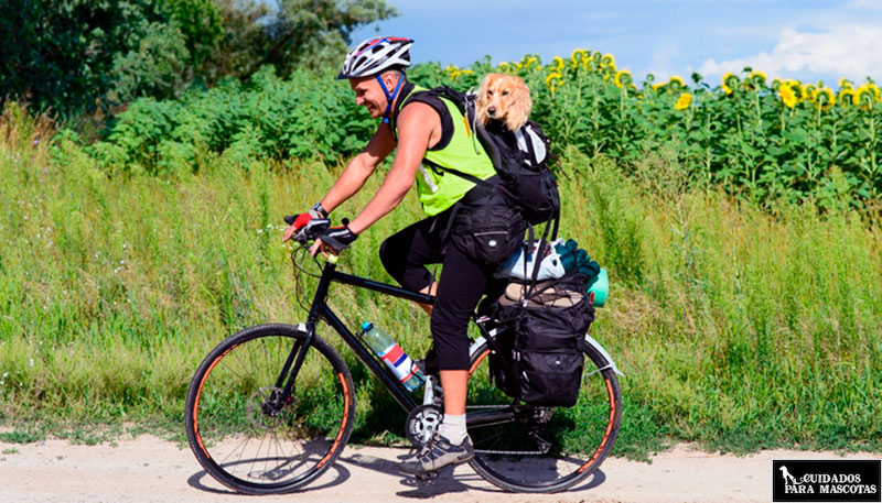 Lleva a tu perro en la bici con una mochila