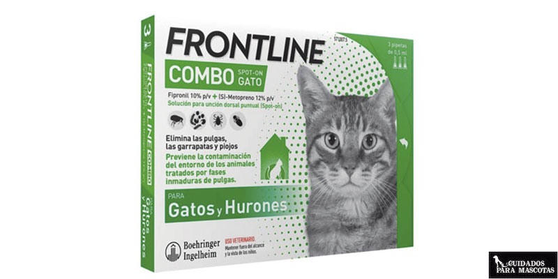 Antiparasitarios para gatos en formato pipeta