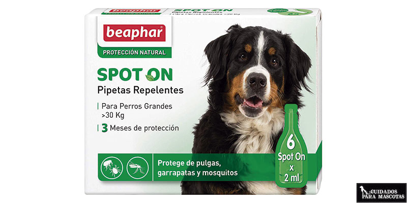 En la mayoría de los casos Desenmarañar Político Los 5 antiparasitarios para perros. Cuál usar en cada caso. En la mayoría de los casos Desenmarañar Político Los 5 antiparasitarios para perros. Cuál usar en cada caso.