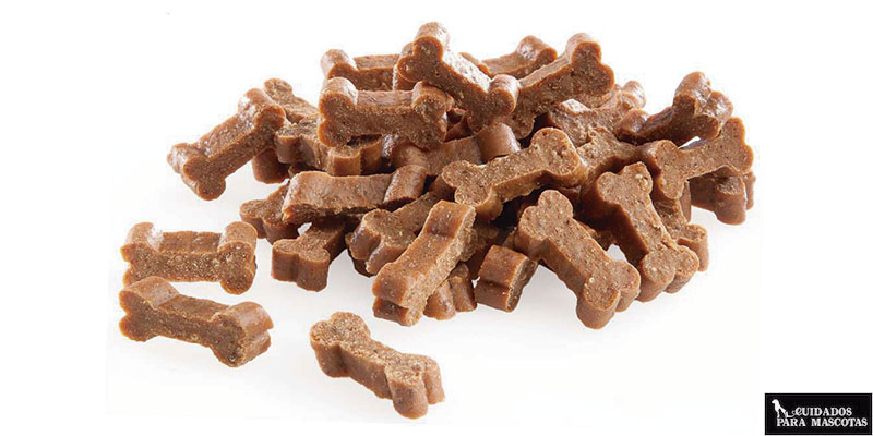 chewies semi humedos