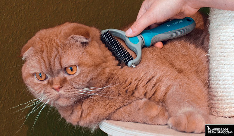 Cepillo puas anchas para gatos de pelo largo, mejor que Fürminator