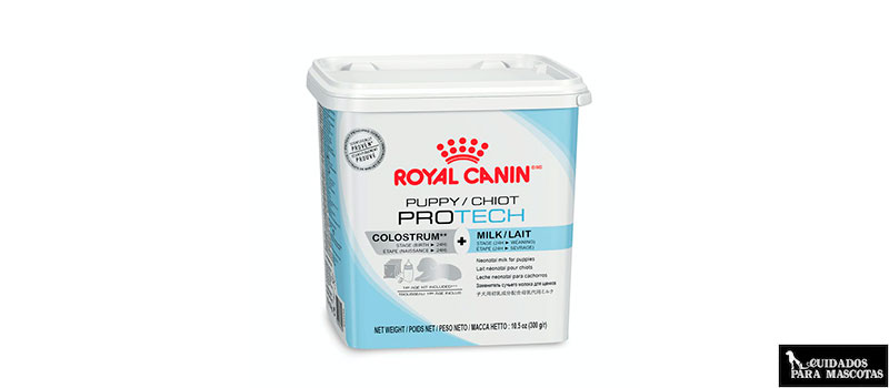 Protech de Royal Canin