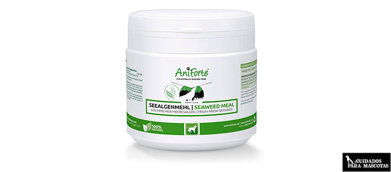 AniForte 