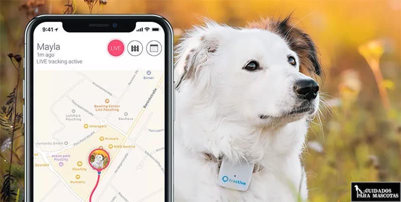 Localizador GPS con rutas 
