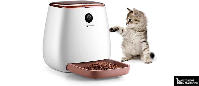 Comedero programable para tu gato