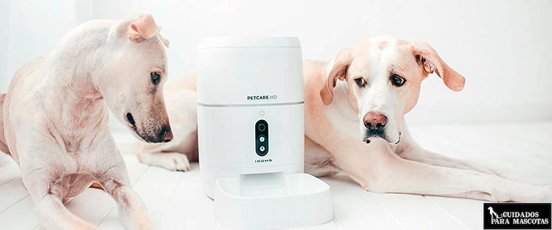 PetCare HD