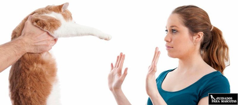 Alergia a mi gato