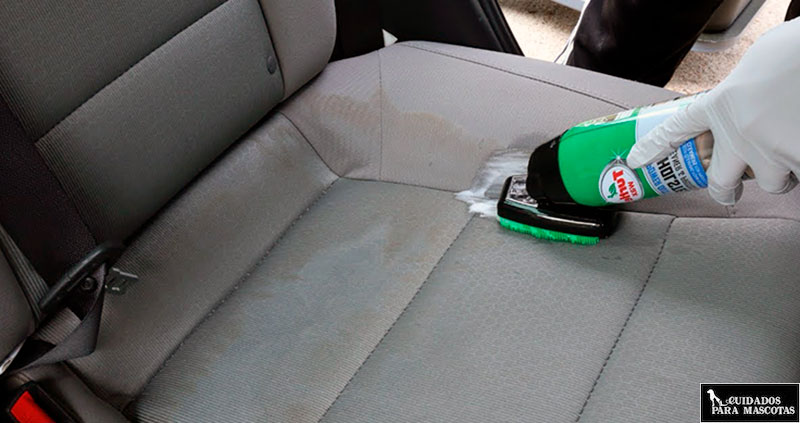 Limpia el vómito de gato del coche