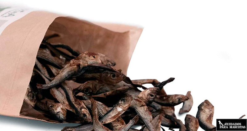 Snacks de pescado 
