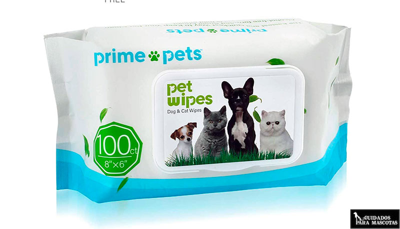 Toallita de higiene para gatos