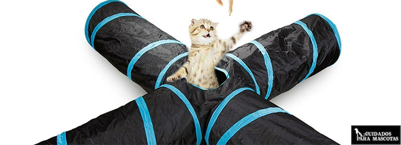 Túnel para gatos de varias vías
