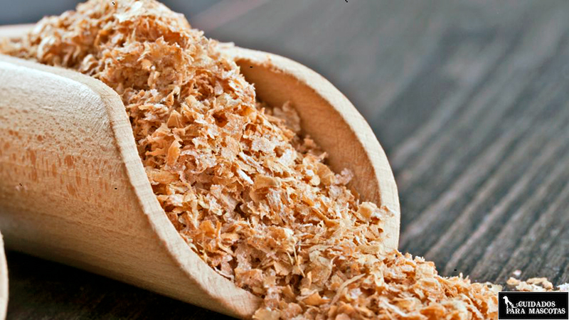 Subproductos vegetales en los alimentos para perros y gatos