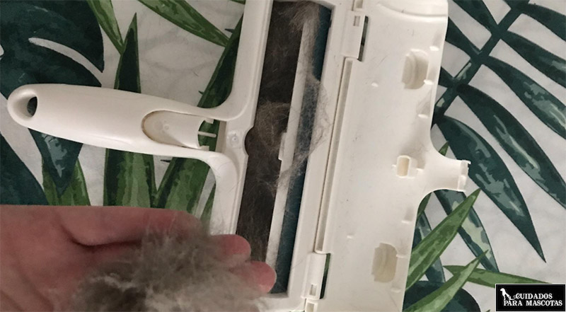 Cepillos para pelos de mascota